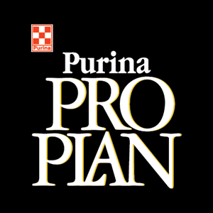 Pro Plan